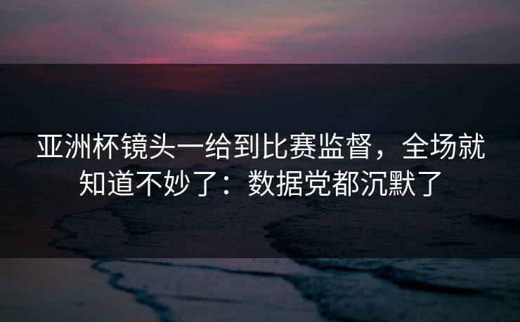 亚洲杯镜头一给到比赛监督，全场就知道不妙了：数据党都沉默了
