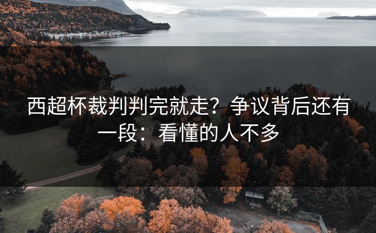 西超杯裁判判完就走？争议背后还有一段：看懂的人不多