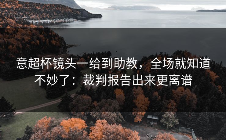 意超杯镜头一给到助教，全场就知道不妙了：裁判报告出来更离谱
