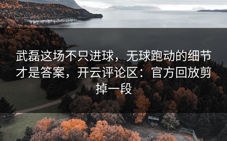 武磊这场不只进球，无球跑动的细节才是答案，开云评论区：官方回放剪掉一段