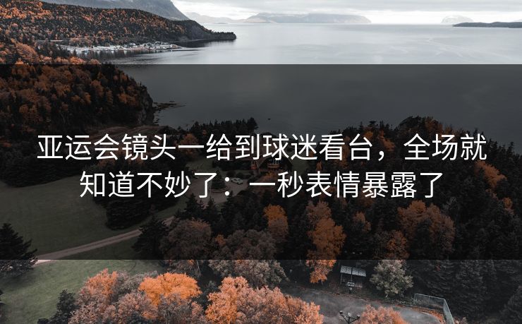 亚运会镜头一给到球迷看台,全场就知道不妙了:一秒表情暴露了 亚运会镜头一给到球迷看台,全场就知道不妙了:一秒表情暴露了