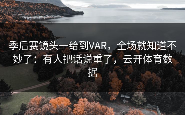 季后赛镜头一给到VAR，全场就知道不妙了：有人把话说重了，云开体育数据